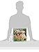 Golden Retrievers 2015 Square 12x12 Plato