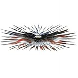 Eagle Burst w/ USA American Flag Decal Lethal Threat