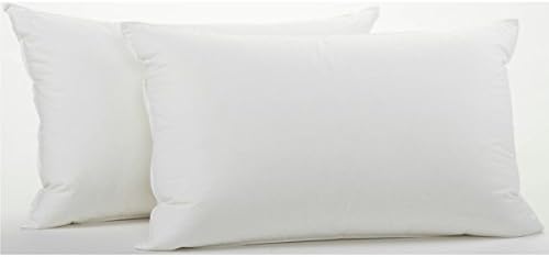 2 King Size White Goose Down and Goose Feather Pillows (King)
