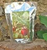 Review American Modern  / Alpine strawberry blooms-a-bag gift