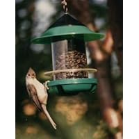 Beck's Chickadee Feeder - Red 8/cs
