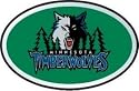 Minnesota Timberwolves Color Auto Emblem