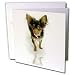 chihuahua37 - Dogs Chihuahua Long Hair Chihuahua Greeting Cards6 Greeting