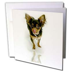 image link -  - B000VG75P6