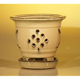 Bonsai Boy's Ceramic Orchid Pot with Attached Tray 5 0x5 125 Tall Beige Color -Round Sized to fit 4 0 Plastic Growing Pot: Patio, Lawn &amp; Garden