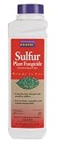 Bonide Products 1Lb Sulfur Plant Fungicide 141
