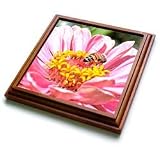 Patricia Sanders Flowers - Close To You Zinnia and Bee Macro Flowers Photography - Trivets