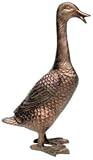 Spitters : Spitters by Animus Garden Art DUCK, MALLARD (AGA10)