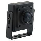 Clover Electronics CCM636 Ultra Miniature Color Camera with Cone Pinhole Lens - Small (Black)