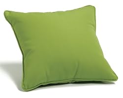 Throw Pillow 16" Square - Canvas Macaw