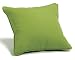 Throw Pillow 16" Square - Canvas Macaw