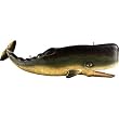 Whale Trade Sign