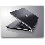 Sony VAIO AW Series 4GB RAM 18.4-Inch Laptop (3.06 GHz Intel Core 2 Duo EXTREME T9900 Processor, 4 GB RAM, 640 GB Hard Drive, Windows 7) VGN-AW