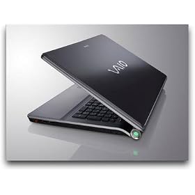 Sony VAIO VGN-AW390 4GB RAM 18.4-Inch Laptop (3.06 GHz Intel Core 2 Duo EXTREME X9100 Processor, 4 GB RAM, 640 GB Hard Drive, Blu-Ray Drive, Vista) VGN-AW
