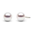 HinsonGayle AAA Japanese Akoya 8.5-9.0mm White Cultured Pearl Stud Earrings (14K Yellow Gold)