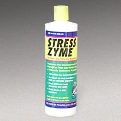 Aquarium Pharmaceuticals Stress Zyme (16-oz bottle) - Buy Aquarium Pharmaceuticals Stress Zyme (16-oz bottle) - Purchase Aquarium Pharmaceuticals Stress Zyme (16-oz bottle) (Aquarium Pharmaceuticals, Home & Garden, Categories, Pet Supplies, Fish & Aquatic Pets, Aquarium Accessories, Cleaners Treatments & Test Kits, Cleaners)