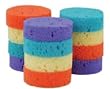 Rainbow Tack Sponges - 12 Pack