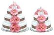 Bloomers Hot Pink Daisies With Leopard Diaper Cake-2 Tier