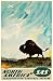 North America, Scandinavian Airlines System Poster