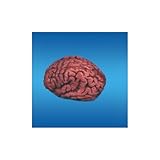 Brain Bloody