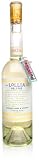 Lollia Believe Cabbage Rose & Citrus 16.9 oz Foaming Bath