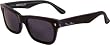 Tres Noir Shiny Black WAYCOOLER Sunglasses w/ Smoke Lens