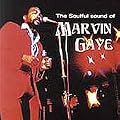 The Soulful Sound of Marvin Gaye