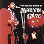 Soulful Sounds of Marvin Gaye