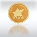 Certificate Seal - Team Star: Making the Difference