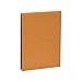 Rhodia Pad Holder And Pad 3.75X5.25 Orange