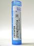 Calcarea Phosporica 30C (Boiron Homepathic) 80 pellets