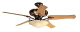 Hunter 23298 Ranier Two-Light 60-Inch Five-Blade Ceiling Fan, Amber Bronze with Frosted Globe