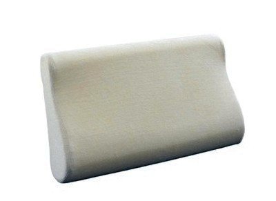 Visco Elastic Memory Foam Standard/ Queen Pillow w/Terry Cover