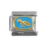 Zoppini Aquarius Link