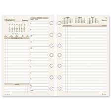 Day Runner Pro Two-Page-per-Day Refill, 2010 Edition, January-December, 8.50 x 11 Inches, (491-225)