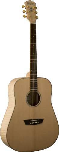 Washburn WD45 Series WD45S Acoustic Guitar