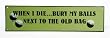 Painted Metal Signs "When I Die"