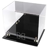 Golden Classic Michigan Wolverines Logo Helmet Case