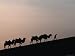Camel Caravan Silhouetted at Dawn on the Silk Road, Dunhuang, China Photographic Poster Print by Keren Su, 24x18