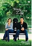 理想の恋人.com [DVD]