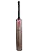 Gray Nicolls Legend GN10 English Willow Bat, Short Handle RS.37000.00