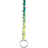 Guardian Gear 18-Inch Steel Dog Choke Chain with Nylon Webbing, Rainbow