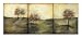 Autumnal Meadow I - Jennifer Goldberger Art Print Poster 33 x 14