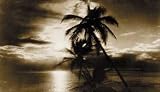 HAWAIIAN SUNSET VINTAGE HAWAIIAN ART - HAWAII PRINTS & POSTERS