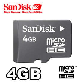Sandisk 4GB Micro SD card