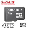 Sandisk 4GB Micro SD card