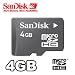 Sandisk 4GB Micro SD card