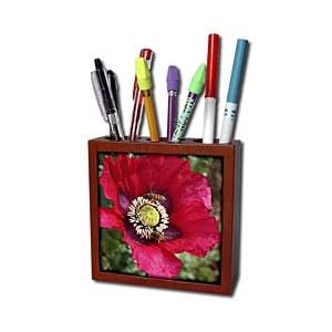 WhiteOak Photography Floral Prints - Bee on a Poppy Flower - Tile Pen Holders-5 inch tile pen holder