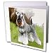 schnauzer46  - Dogs Schnauzer Schnauzer Greeting Cards12 Greeting Cards with