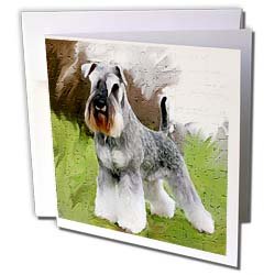image link - - B002JSS760